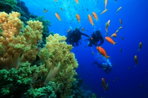 Belize Dive Locations